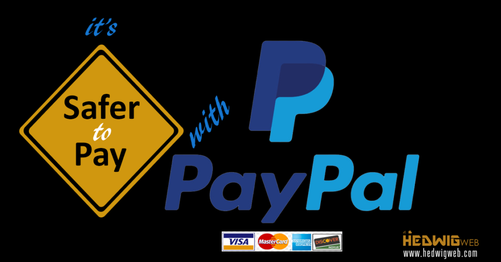 safer-to-pay-with-paypal